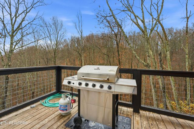 1110 Laddie Buck Lane, Gatlinburg, TN 37738