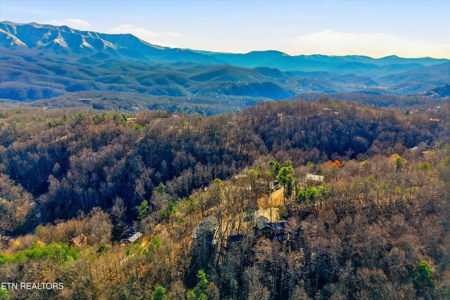 1110 Laddie Buck Lane, Gatlinburg, TN 37738