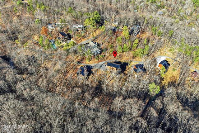 1110 Laddie Buck Lane, Gatlinburg, TN 37738