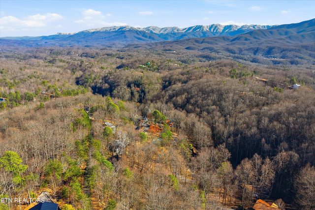 1110 Laddie Buck Lane, Gatlinburg, TN 37738
