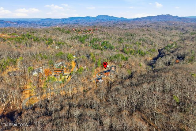 1110 Laddie Buck Lane, Gatlinburg, TN 37738