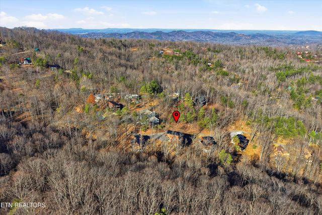 1110 Laddie Buck Lane, Gatlinburg, TN 37738