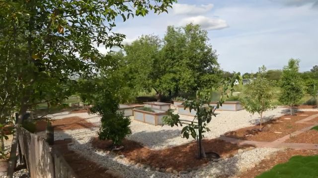 12105 Rising Rd, Wilton, CA 95693