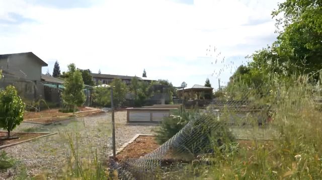 12105 Rising Rd, Wilton, CA 95693