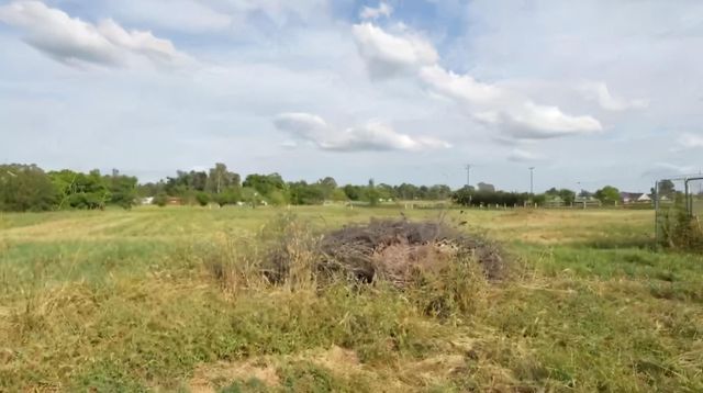 12105 Rising Rd, Wilton, CA 95693