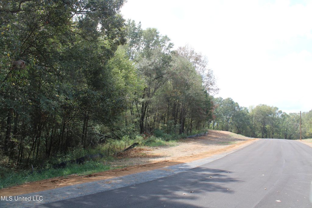 1 Hickory Hollow Road, Hernando, MS 38632 — photo 4