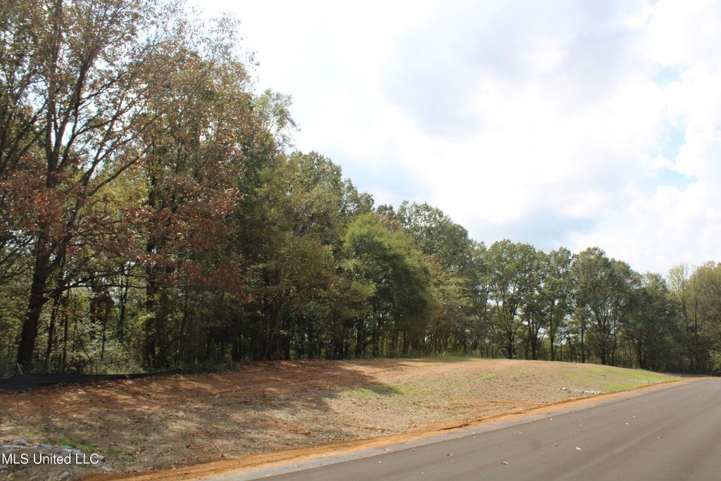 1 Hickory Hollow Road, Hernando, MS 38632 — photo 5