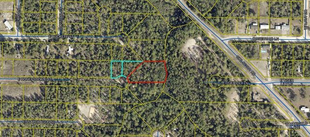162 E. Honeysuckle Street, Mossy Head, FL 32434