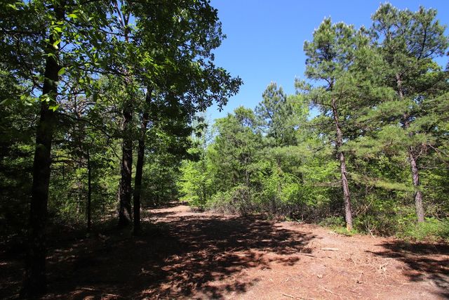 TBD County Road 4552, Winnsboro, TX 75494