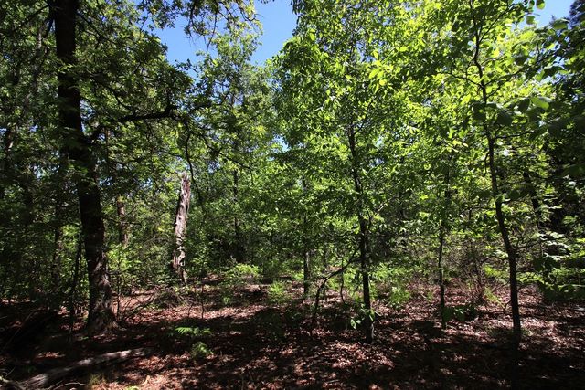 TBD County Road 4552, Winnsboro, TX 75494