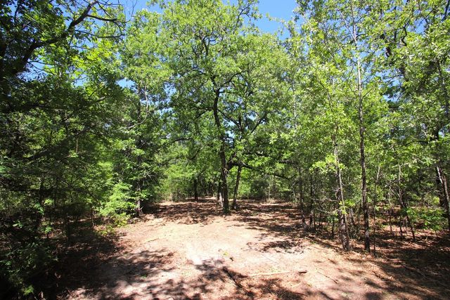 TBD County Road 4552, Winnsboro, TX 75494