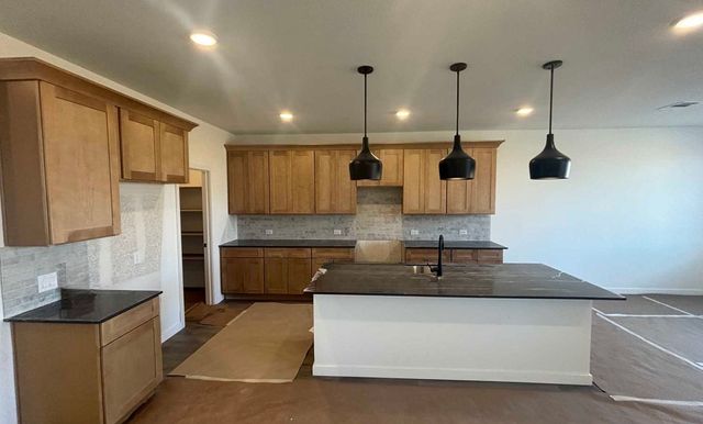 657 Tyronza Drive, Justin, TX 76247