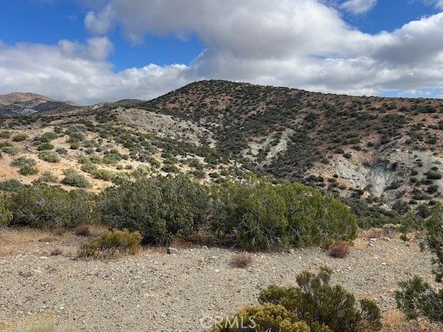 25505 Sun View Drive, Tehachapi, CA 93561