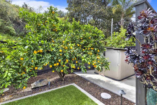 10961 Avenida De Los Lobos, San Diego, CA 92127