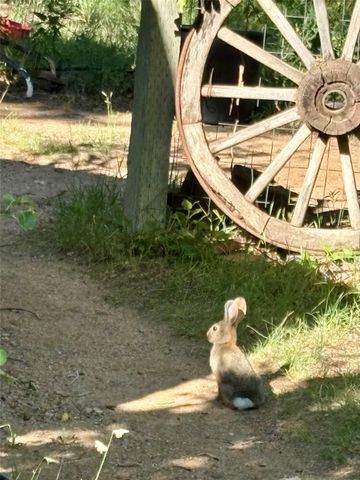 2175 Old Arroyo Chamiso and 550 Valle Chamiso Lane 1,2,3,4,5,6, Santa Fe, NM 87505