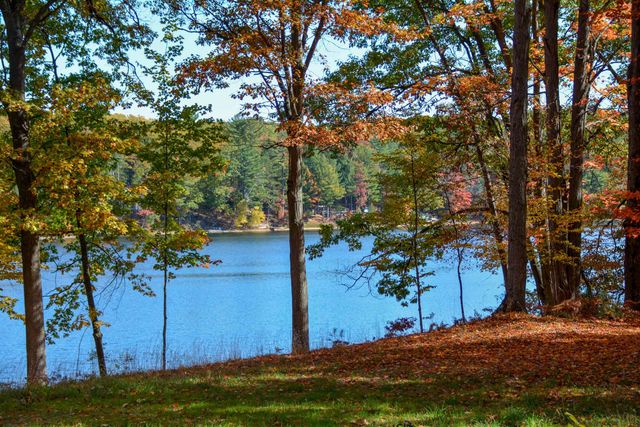 Cross Country Trail, Traverse City, MI 49686