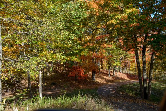 Cross Country Trail, Traverse City, MI 49686
