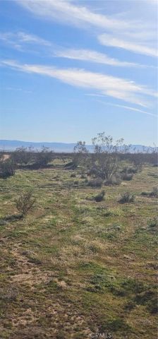 0 105th St W, Rosamond, CA 93560