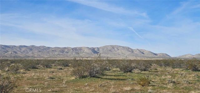 0 105th St W, Rosamond, CA 93560