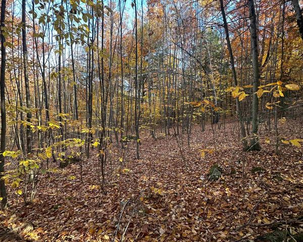 54 Onset Road, Bennington, NH 03442