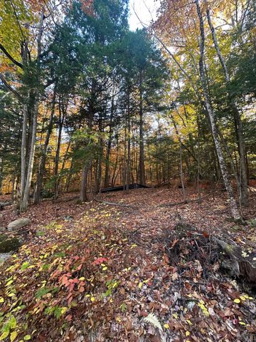 54 Onset Road, Bennington, NH 03442