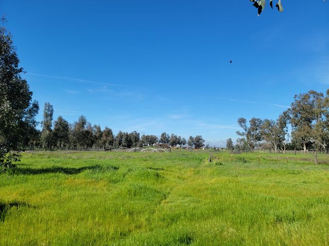 12234 Clay Station Rd, Herald, CA 95638