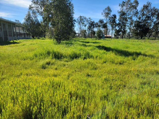 12234 Clay Station Rd, Herald, CA 95638