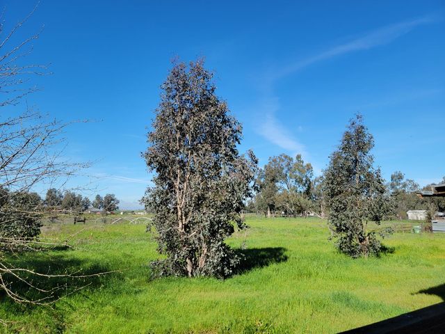 12234 Clay Station Rd, Herald, CA 95638