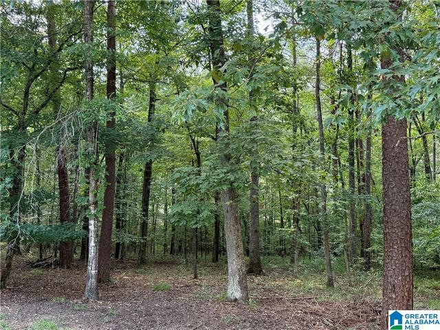 0 BRIDEWELL CIRCLE, Mccalla, AL 35111