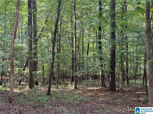 0 BRIDEWELL CIRCLE, Mccalla, AL 35111