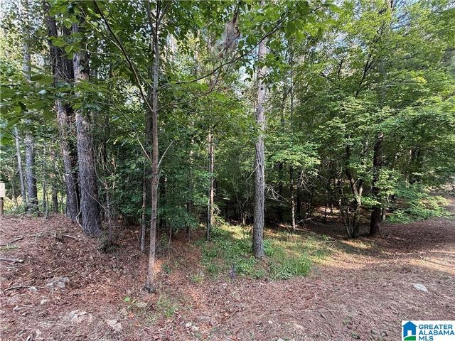 0 BRIDEWELL CIRCLE, Mccalla, AL 35111