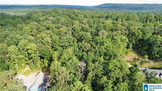 0 BRIDEWELL CIRCLE, Mccalla, AL 35111