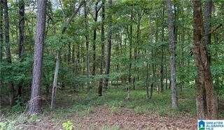 0 BRIDEWELL CIRCLE, Mccalla, AL 35111