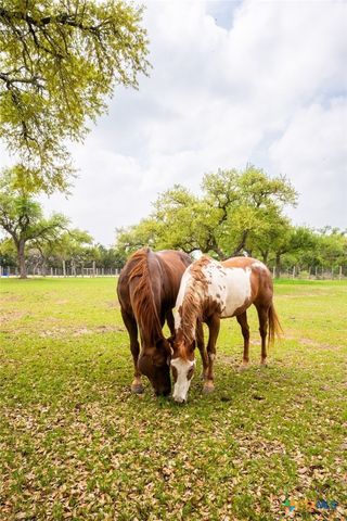 376 San Marcos Trail, New Braunfels, TX 78132