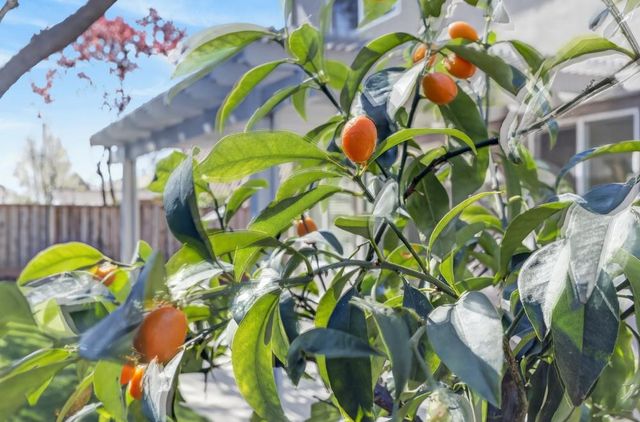 5142 Bissett Way, Sacramento, CA 95835