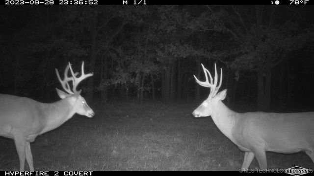 11447 Mary Knox Drive, Okmulgee, OK 74447