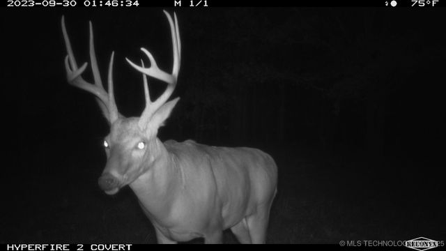 11447 Mary Knox Drive, Okmulgee, OK 74447