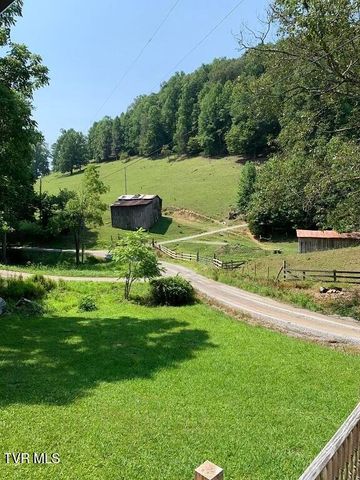 598 Hortons Summit Road, Duffield, VA 24244