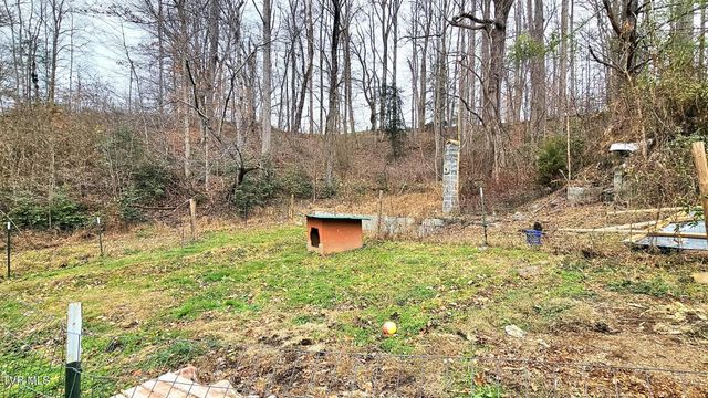 598 Hortons Summit Road, Duffield, VA 24244