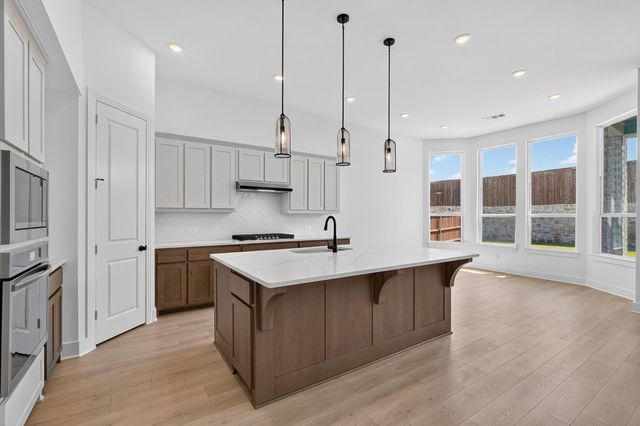 1328 Castello Drive, Fate, TX 75087