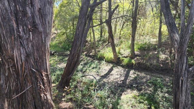 25615 Ronald W Reagan BLVD, Georgetown, TX 78633