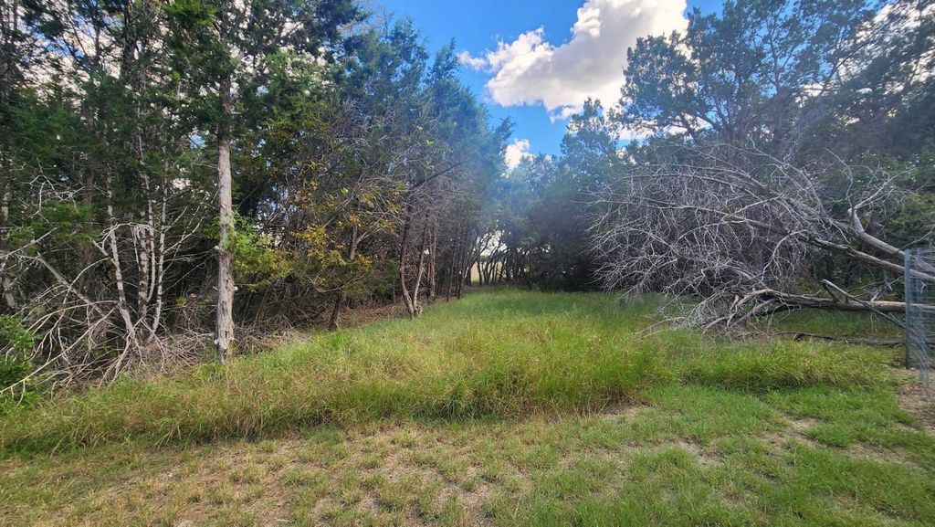 25615 Ronald W Reagan BLVD, Georgetown, TX 78633