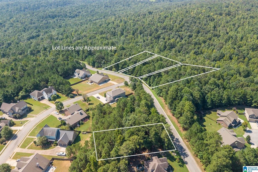5551 CARRINGTON LAKE PARKWAY, Trussville, AL 35173