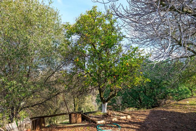 8664 Center St, Mokelumne Hill, CA 95245