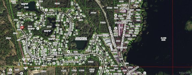 3337 N Canterbury Lake Drive, Hernando, FL 34442