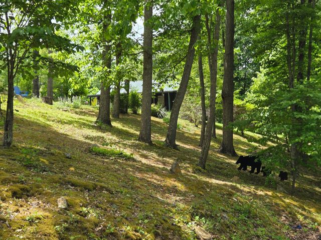 1435 Pilot Road, Stanton, KY 40380