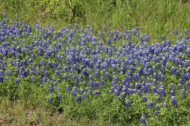 0 Clear Woods Court S, Washington, TX 77880