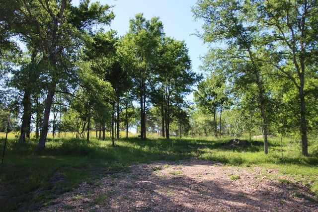 0 Clear Woods Court S, Washington, TX 77880
