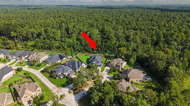 313 Lane Landing Place, Montgomery, TX 77316
