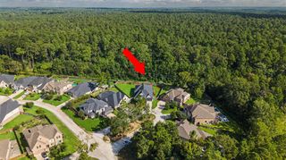 313 Lane Landing Place, Montgomery, TX 77316